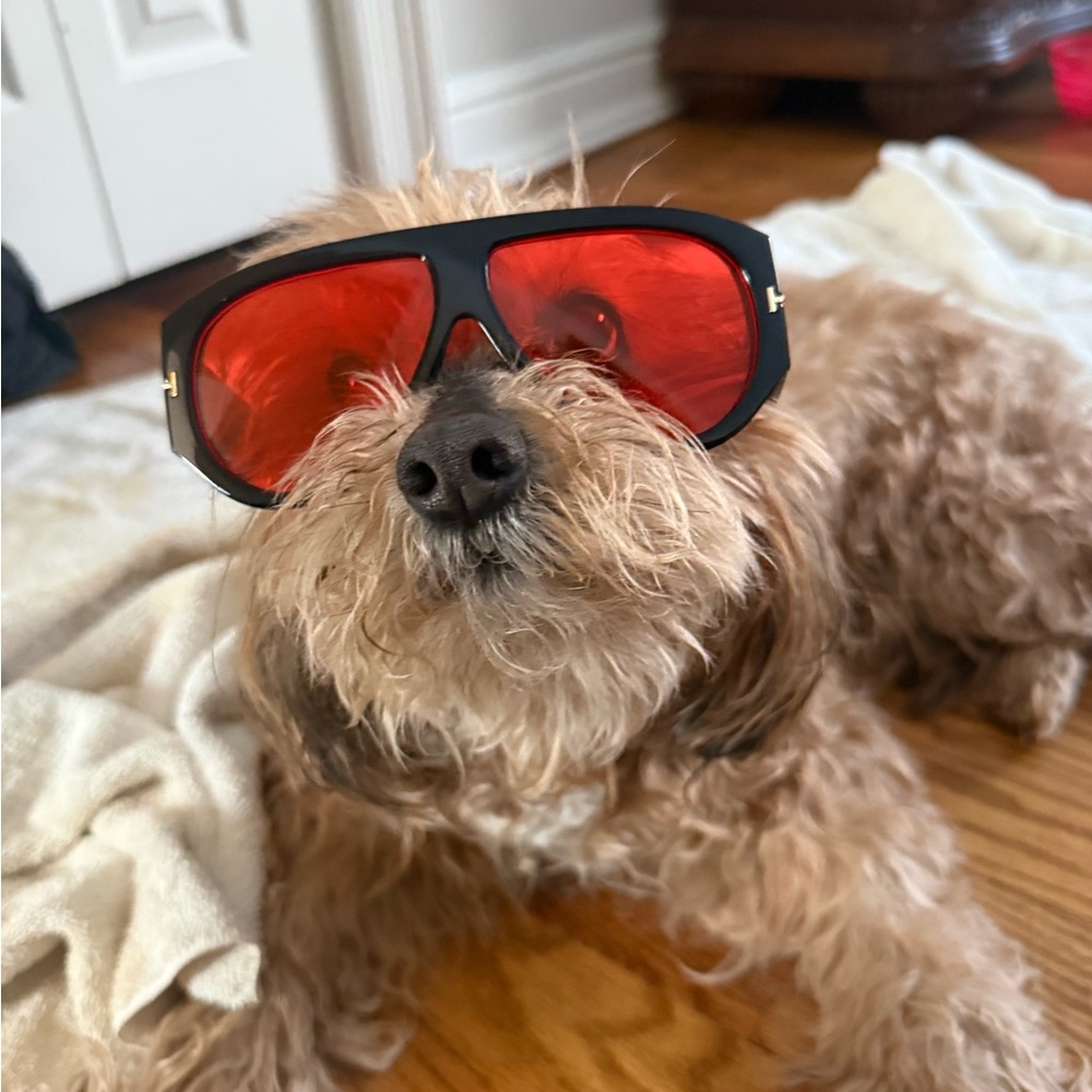 Meet your Posher, Frank